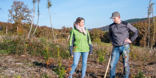 Plantation 10000 Arbres